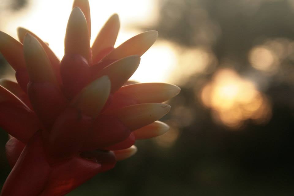 601831_512695012129442_1632085925_n